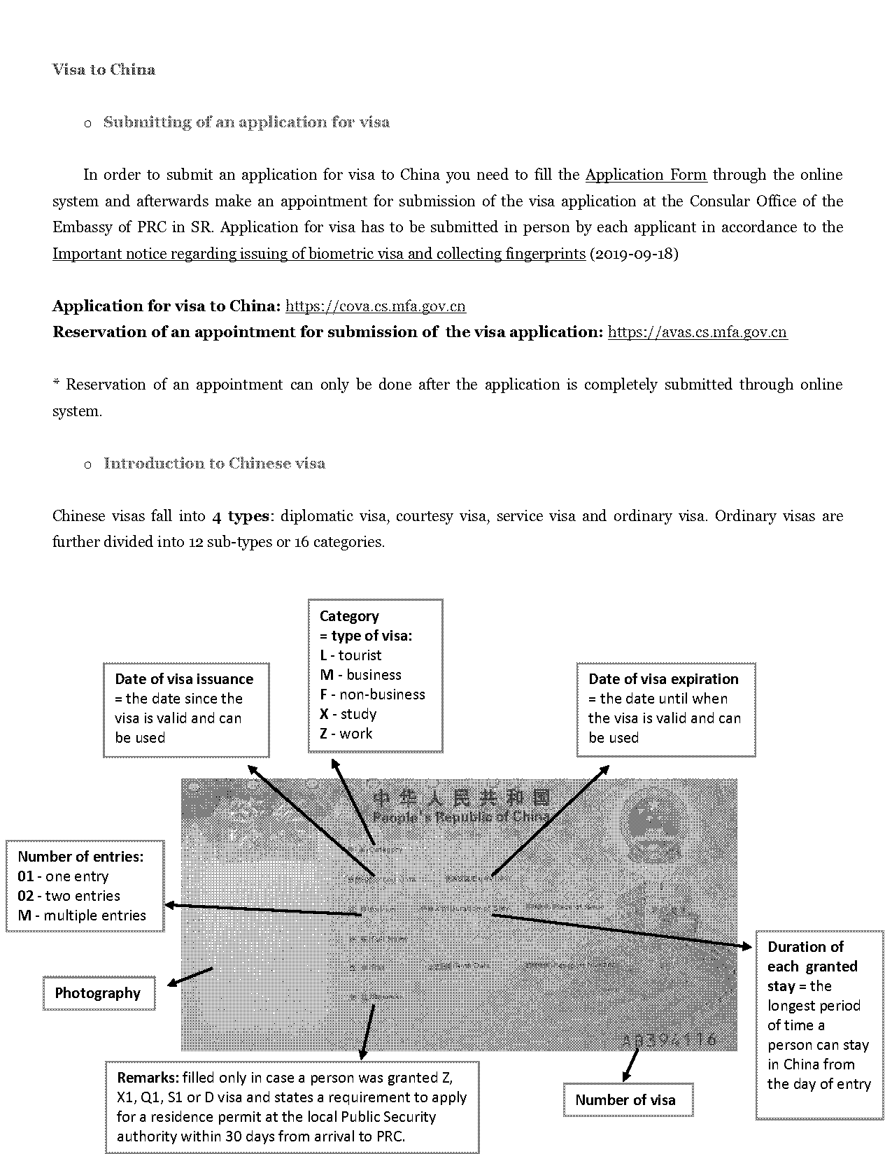 chinese application for visa template