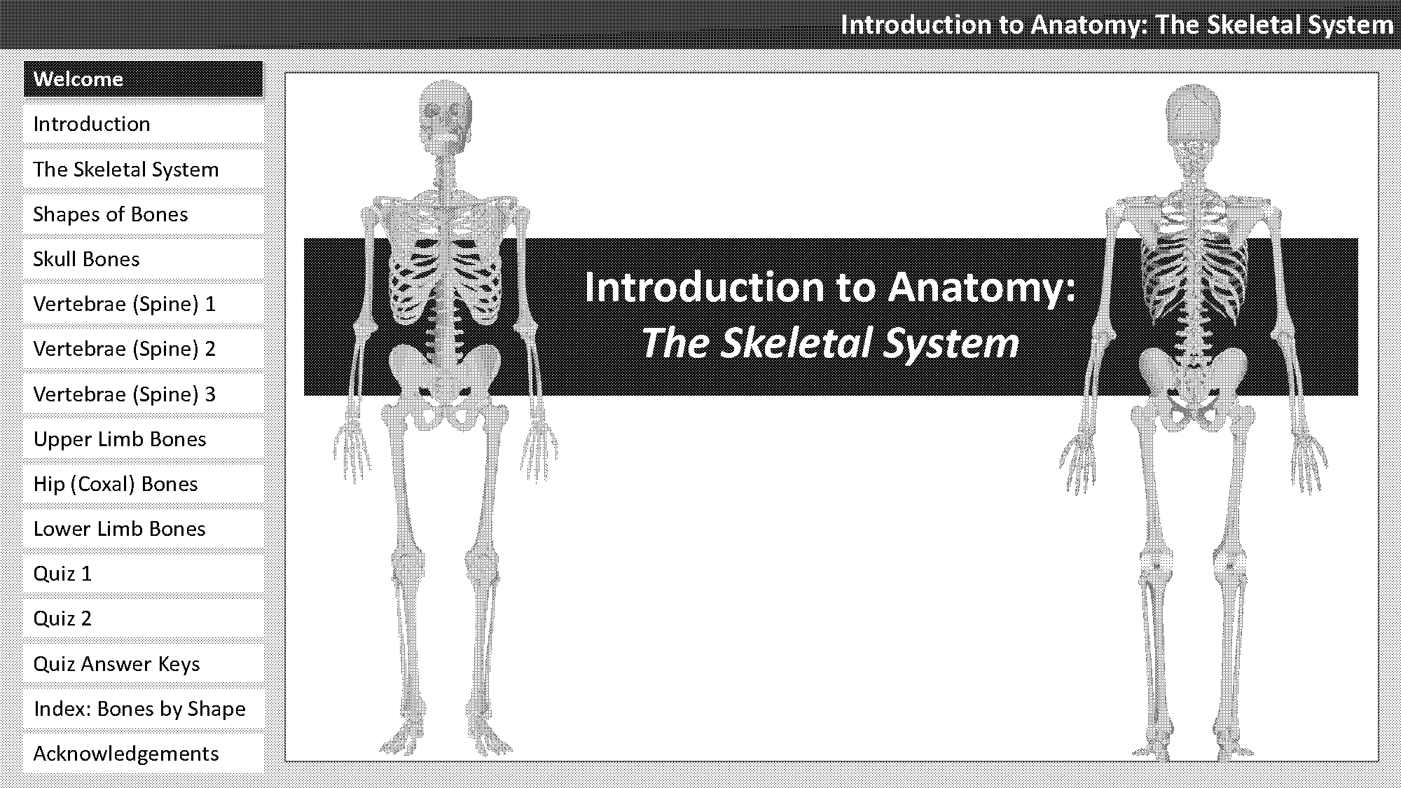 anatomy and physiology of the skeletal system pdf