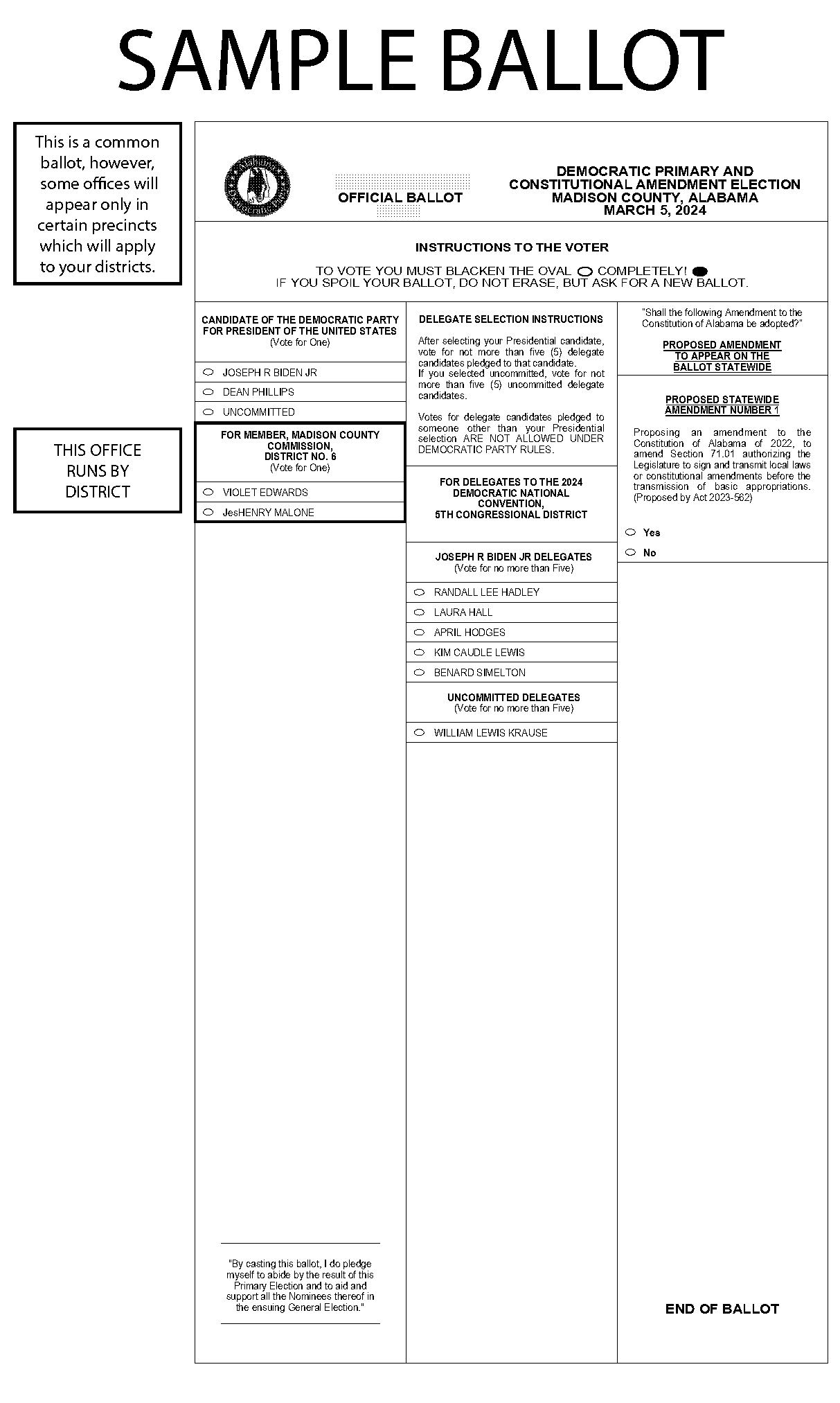 alabama democratic sample ballot