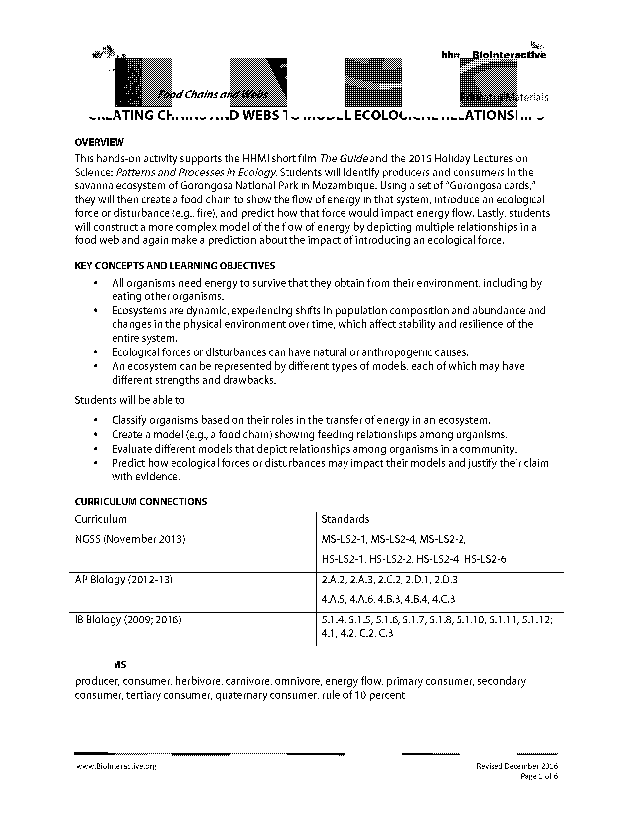 food chains and food webs worksheet key