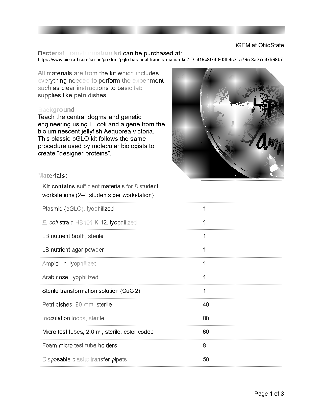 pglo bacterial transformation kit instruction manual