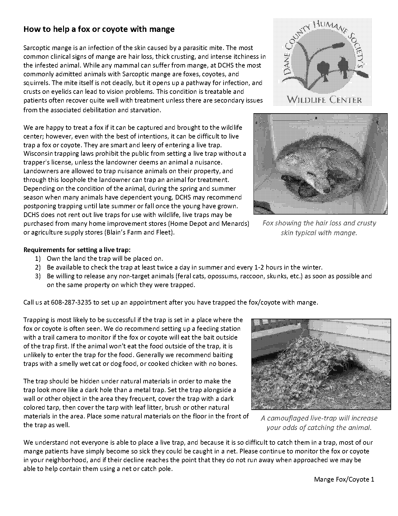 instructions setting a live catch trap