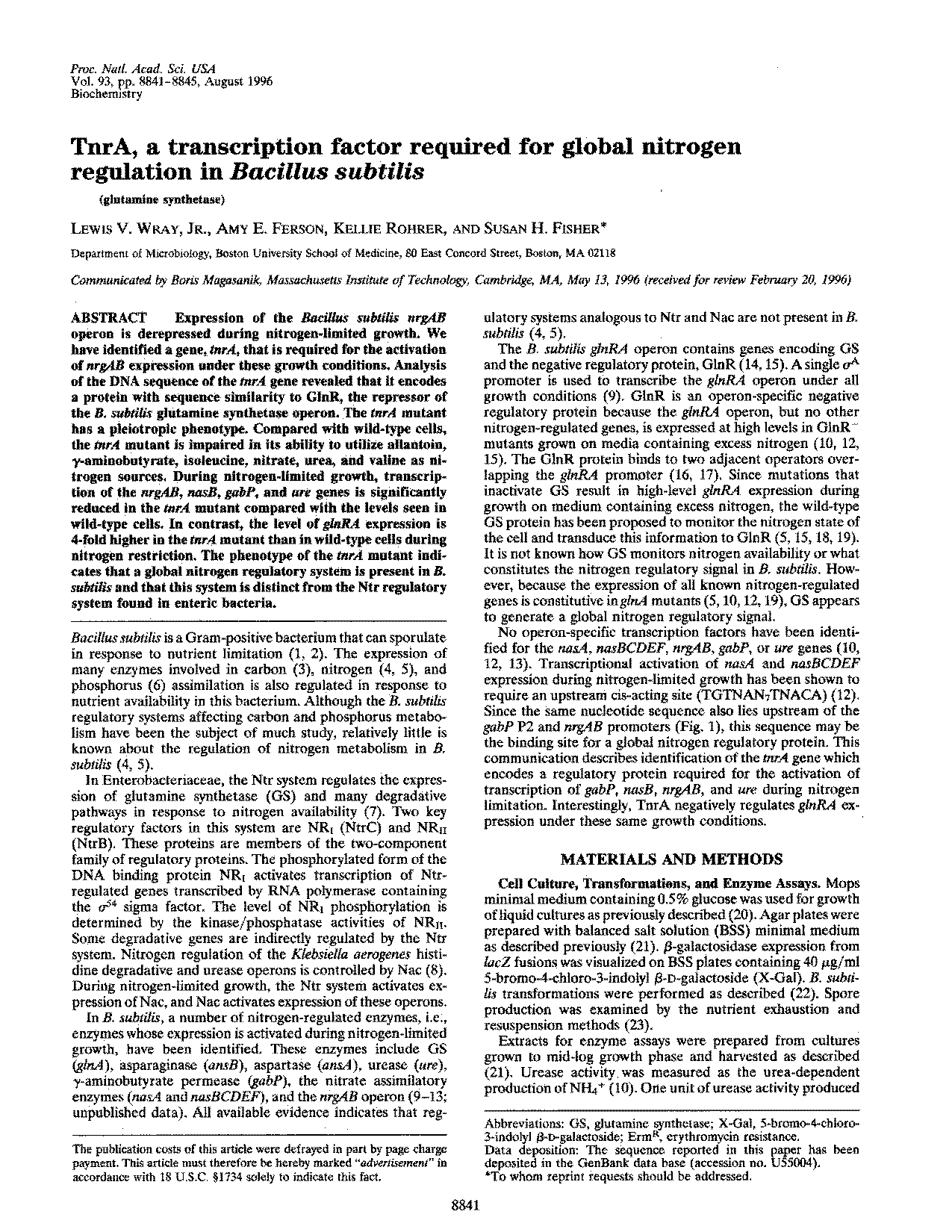 enzymes needed for dna transcription