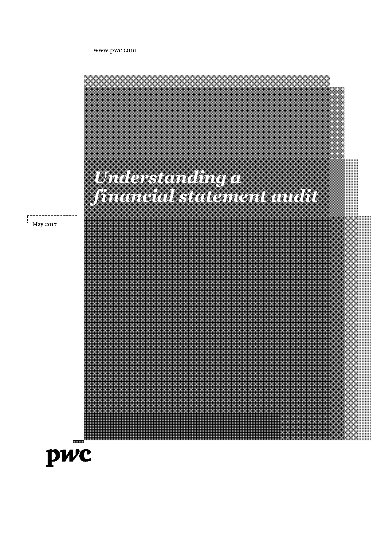 qualified audit report template