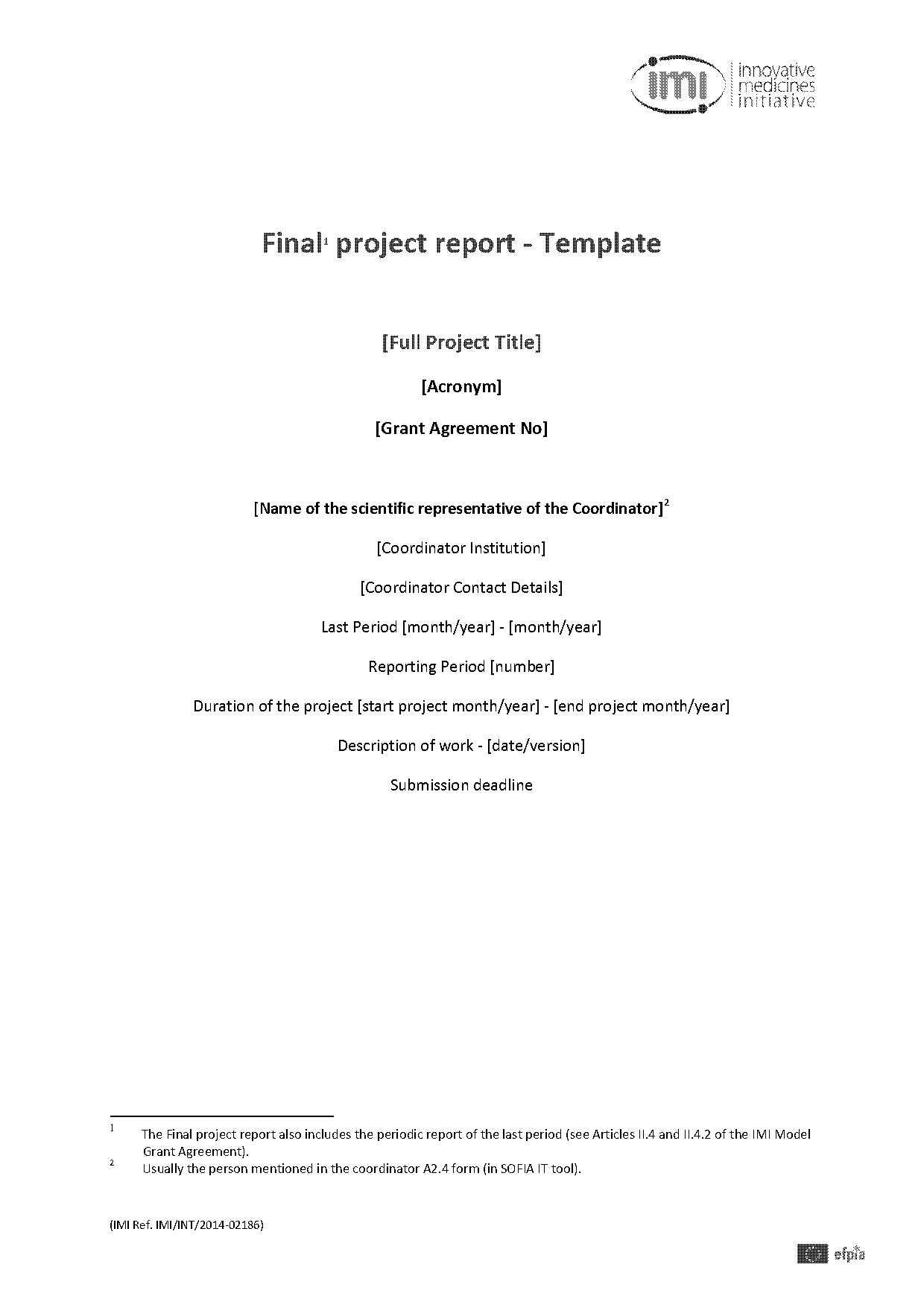 template for project report