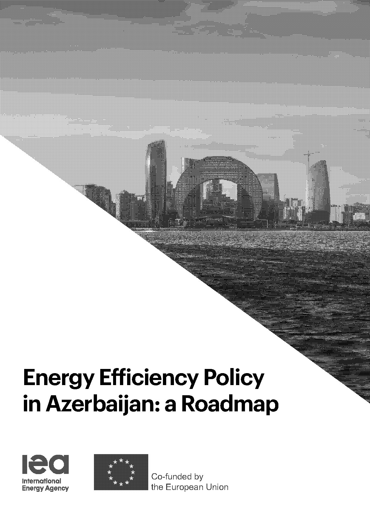 government energy efficiency policy