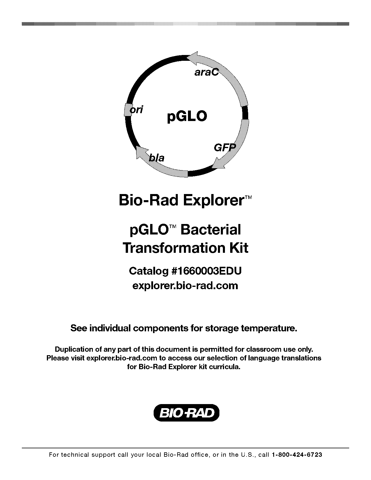 pglo bacterial transformation kit instruction manual