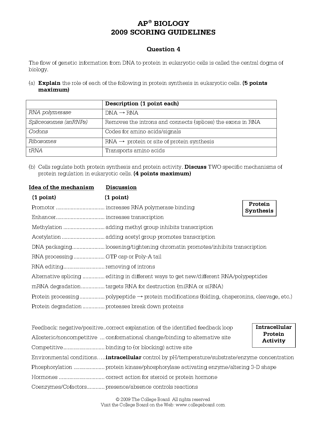 dna rna transcription translation