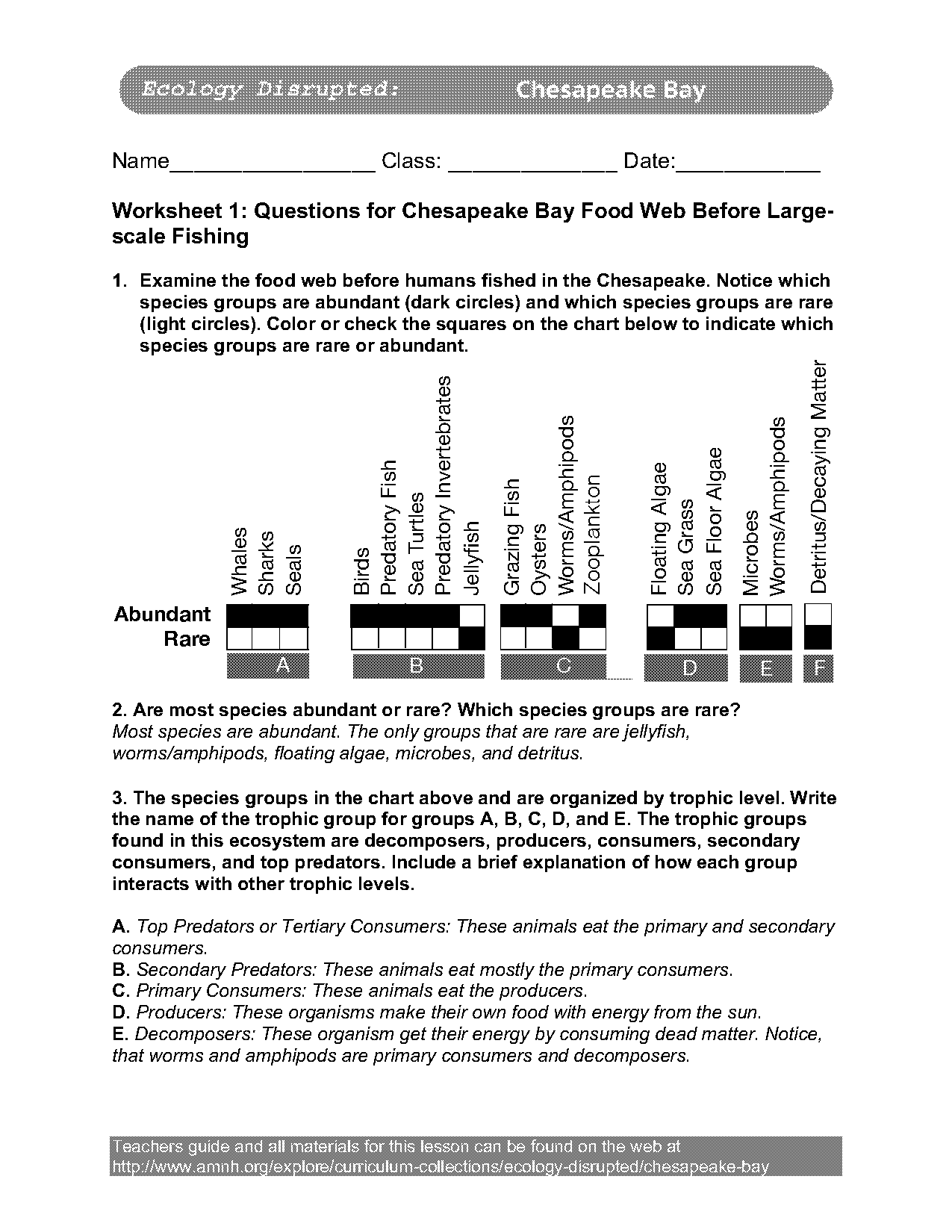 food chains and food webs worksheet key