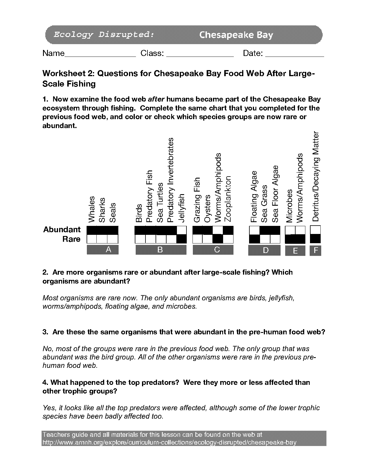 food chains and food webs worksheet key