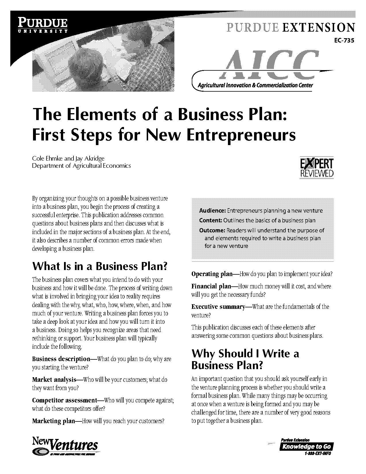 i need help developing a business plan